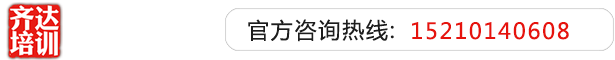 大胸美女被爆操齐达艺考文化课-艺术生文化课,艺术类文化课,艺考生文化课logo